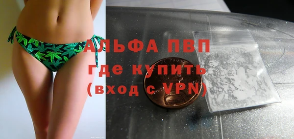 индика Краснослободск