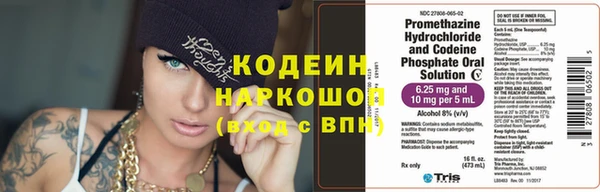 гашик Кулебаки