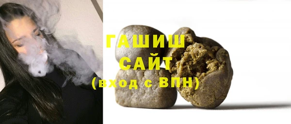 индика Краснослободск