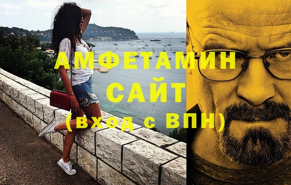 индика Краснослободск