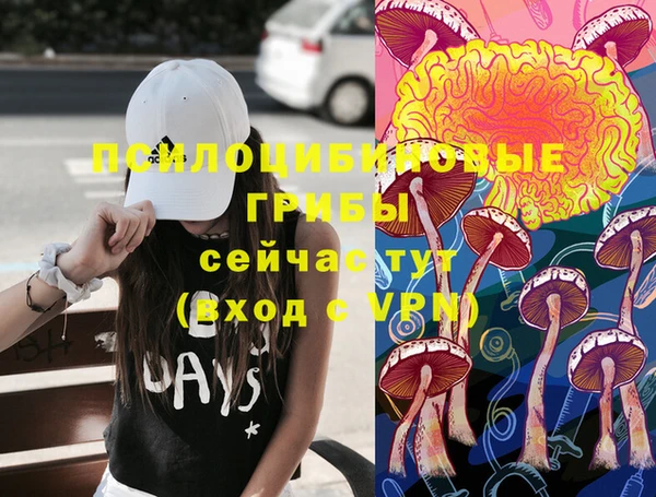 МДМА Кукмор