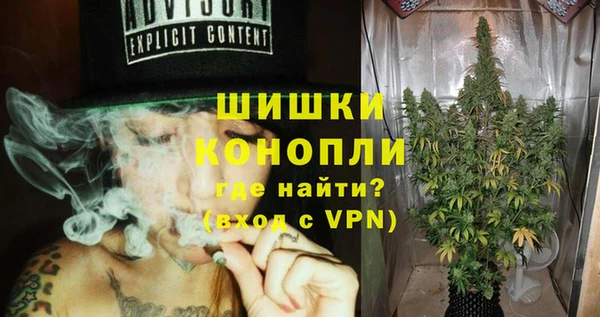 индика Краснослободск