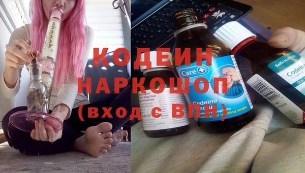 индика Краснослободск