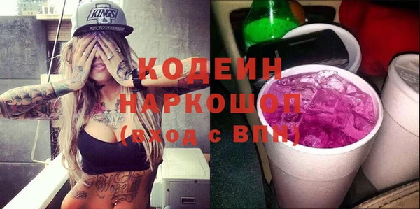 индика Краснослободск