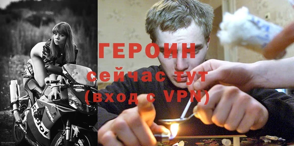 индика Краснослободск