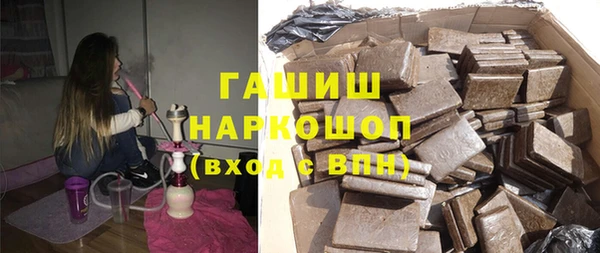 индика Краснослободск