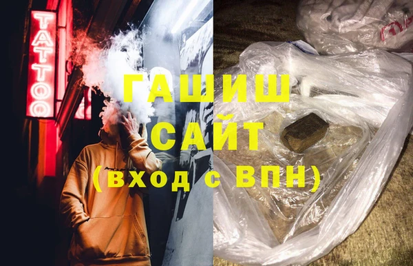 индика Краснослободск