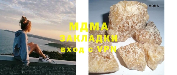 индика Краснослободск